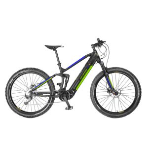 Electric Bike Argento Bike AR-BI-210033 27